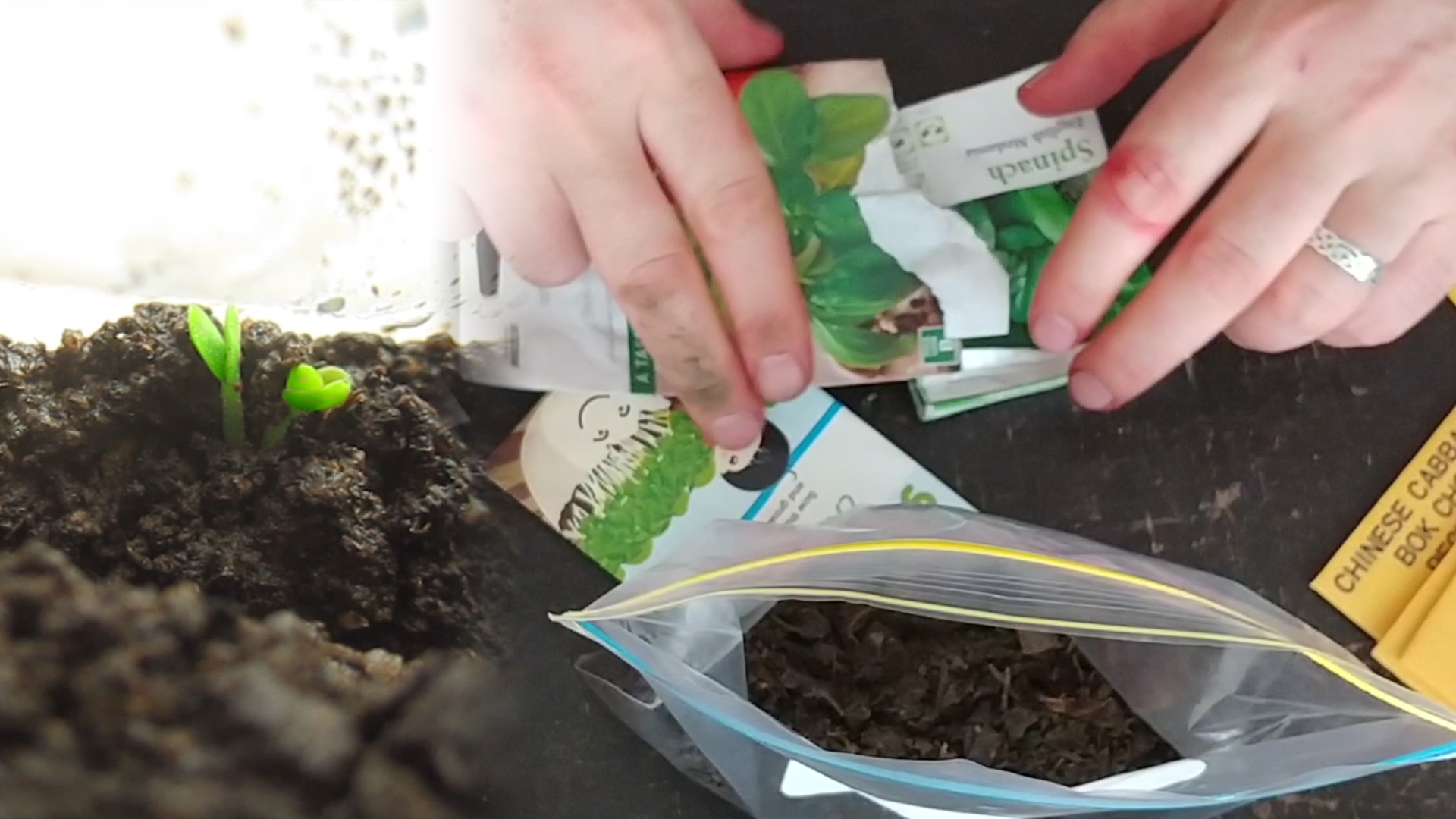 Indoor gardening - create a microclimate dirtbag!