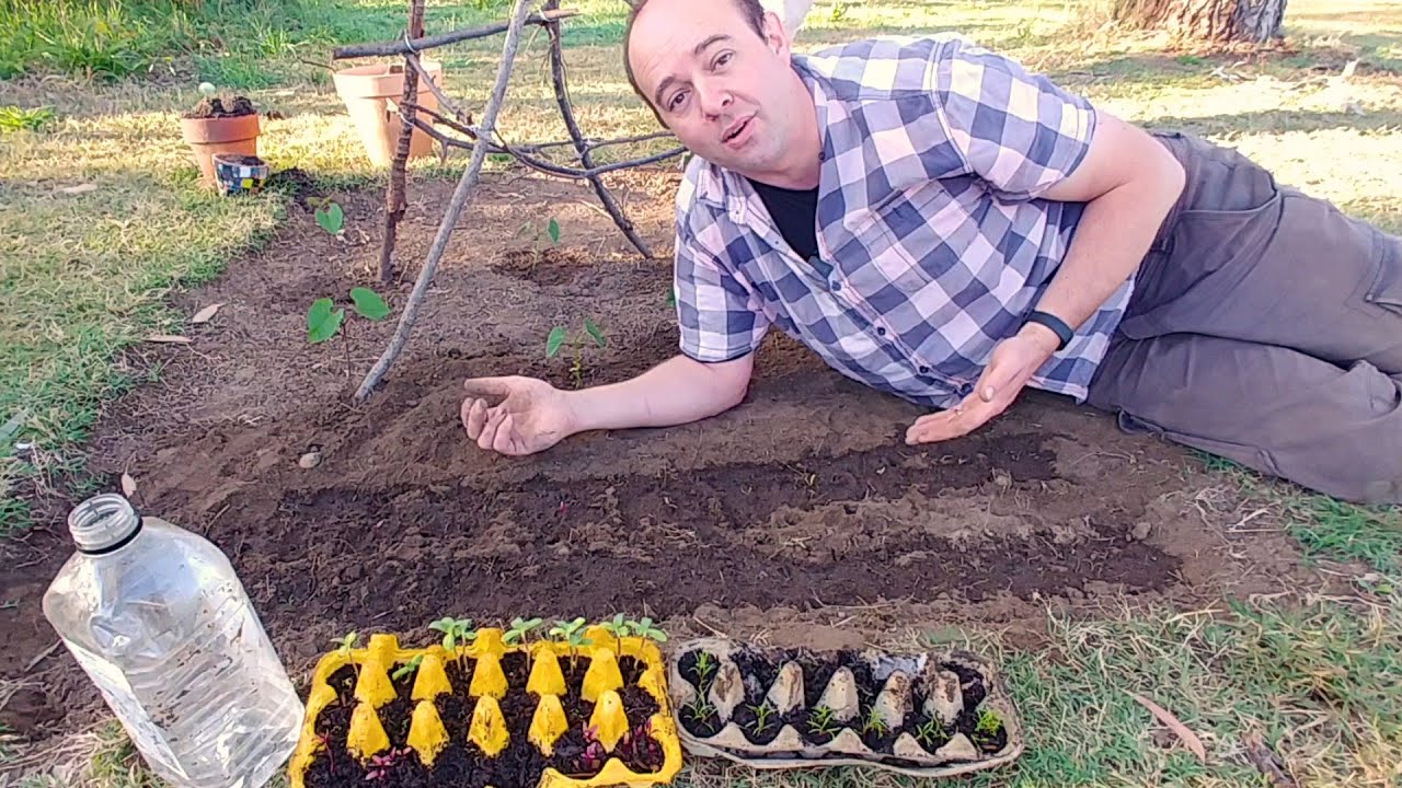 How to grow root vegetables